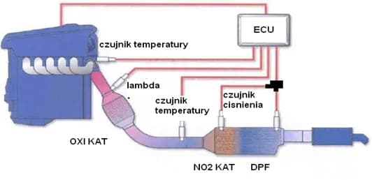 Jak wygląda DPF w środku? Odkryj tajemnice filtra cząstek stałych Jak wygląda DPF w środku? Odkryj tajemnice filtra cząstek stałych